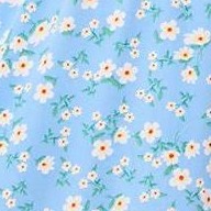 sky blue flowers