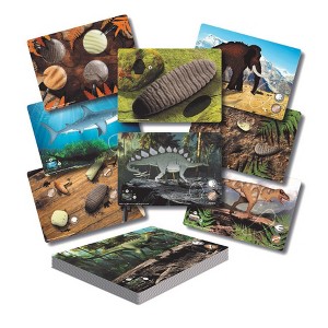 Yellow Door Prehistoric Teeth – Explore and Discover Activity Cards, Set of 16 - 1 of 4