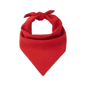 Women's Triangle Scarf - A New Day™ Red One Size : Target