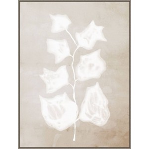 32" x 42" Paper Bark II by Urban Road Framed Canvas Wall Art Print - Amanti Art: Modern Botanical Lithograph, Polystyrene Frame - 1 of 4