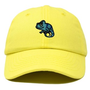 Dalix Chameleon Cap Embroidered Mens Cotton Dad Hat Baseball Hat - 1 of 4