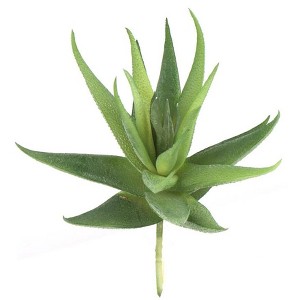 Floral Home 6.5" Aloe Plant Lifelike Succulent - 24-Piece - 1 of 3