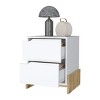 GlasFlength Nightstands Modern Nightstand Bedroom Nightstand Elegant Bedside Table with 2 Drawers for Living Room, Multicolored, 17.01"*14.57"*19.92" - 4 of 4