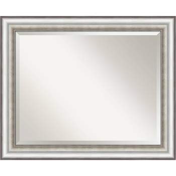 33" x 27" Salon Framed Wall Mirror Silver - Amanti Art