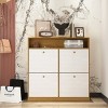 GlasFlength Shoe Racks Modern Flip Drawer Storage Cabinet with Safety Features Simple Design for Entryway Space, Beige, 39.37"*9.45"*39.37" - 2 of 4