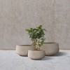 Rosemead Home & Garden 3pc Concrete Outdoor Planter Pots Beige - 2 of 4