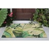 Liora Manne Capri Tropical Indoor/Outdoor Rug.. - 2 of 4