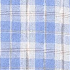 blue plaid 02