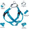 2 Hounds Design Freedom No Pull Dog Harness Turquoise Large - image 2 of 4