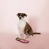 PetShop by Fringe Studio Pink Champagne Durable Plush Dog Toy - 2 of 3