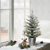 2ft Puleo Pre-Lit Flocked Tabletop Artificial Christmas Tree in Metal Pot Clear Lights - 2 of 3