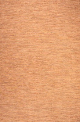 Ethan Orange Flatweave Synthetic 5' x 7' Area Rug