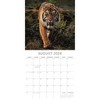 2026 Square Wall Calendar, Tigers, 16-Month Animals Theme with 180 Reminder Stickers (12x12 In) - 3 of 4