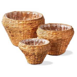 tag Westport Hyacinth Planter, Set of 3 - 1 of 2