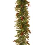 National Tree Company 6 ft. Noelle Garland with Battery Operated Warm White LED Lights