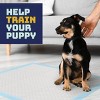 Katziela Disposable Small Pet Pads for Dogs Potty Training and Pee Protection 22X23 (100) Pack - 4 of 4