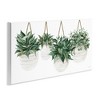 Stupell Industries Hanging Planters House Plants Wall Plaque Art - 2 of 4