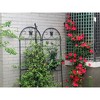 Metal Garden Trellis, 2 Pack Metal Trellis for Climbing Plants, Indoor/Outdoor Plant Trellis for Potted Plants, House Plants, Climbing Vines - 3 of 4