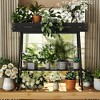 Bamboo Plant Stand Indoor, 2 Tier Wood Small Plant Table, Window Sill Plant Shelf, Flower Pot Holder Plant Bench Plant Rack for Balcony Outdoor - 4 of 4
