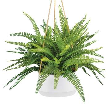 Collections Etc Realistic Looking Boston Fern Artificial Hanging Planter with White Plastic Base 18 X 18 X 22