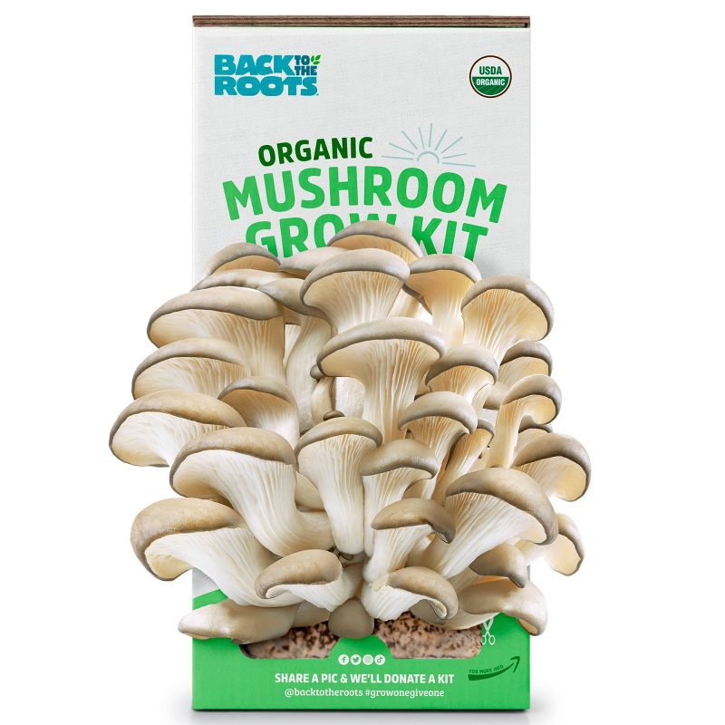 Back to the Roots Organic Mushroom Grow Kit - Oyster, 1 of 14