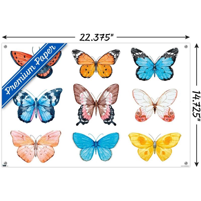 Trends International Watercolor Butterflies Unframed Wall Poster Prints, 3 of 7