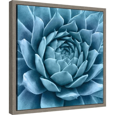 Silvery Blue Agave Framed Canvas Wall Art 16 x 16-in
