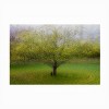 Trademark Fine Art - Arne Ostlund The Cat By The Tree Matted Framed Art - 3 of 4
