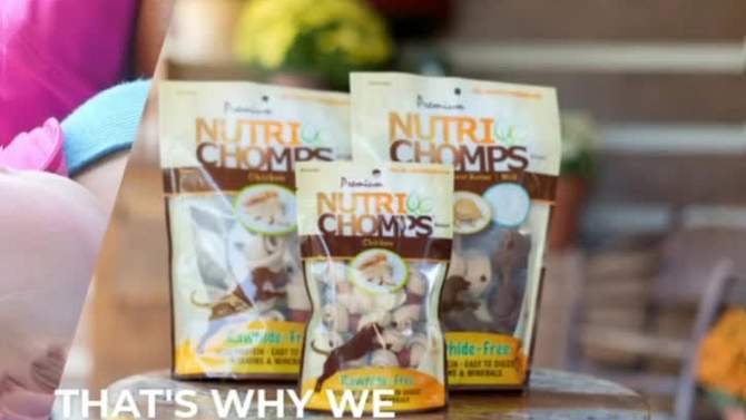 Nutri Chomps Assorted Flavor with Chicken, Peanut Butter and Milk Braids Dog Treats - 4ct/5.64oz, 2 of 5, play video