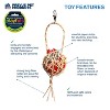 Prevue Pet Products Treat Basket - Playfuls Forage & Engage Bird Toy 60242 - 2 of 3