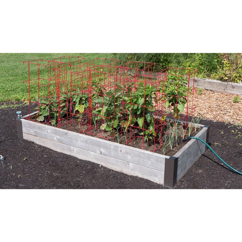 Pepper and Eggplant Cages, Set of 3 - Red - Gardener's Supply Company, 4 of 5