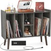 Aheaplus Record Player Stand with Power Outlet and USB Ports, Vinyl Record Storage Table,Vinyl Holder Display Shelf - 2 of 4
