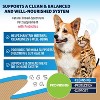 Beloved Pets Natural Intestinal Defense Herbal Cleanse for Dogs and Cats with Probiotic, Advanced Broad Spectrum Formula Gut Health 2 Oz - 1 Pack - 2 of 4