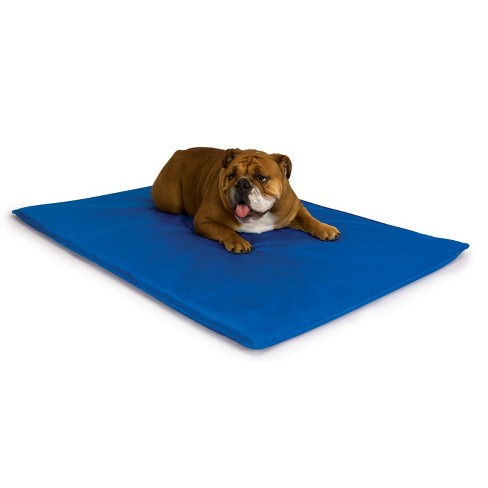 K&h Pet Products Cool Bed Iii Blue Medium 22 X 32 Inches : Target