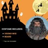 Underwraps Costumes Viking Wig & Beard Adult Costume Set | Grey - 3 of 3