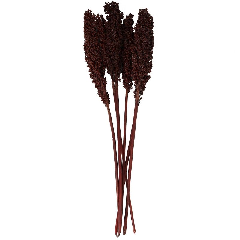 Dried Plant Corn Maze Natural Foliage with Long Stems Dark Brown - Olivia &#38; May, 5 of 7