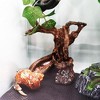Tree Root Wood Stump Fish Tank Ornament Hermit Crab Climbing Toy Resin Tree Trunk Ornament Aquarium Decoration wood - 2 of 4