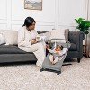 Baby Delight Alpine Deluxe Portable Bouncer - image 2 of 4