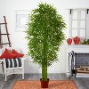 HomeStock  7 ft. Artificial Bamboo Tree in Pot for Indoor/Outdoor - 4 of 4
