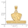 Black Bow Jewelry 14k Yellow Gold Eastern Illinois Panthers NCAA Small Pendant - 2 of 3