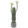 Faux Cactus Potted Plant Faux with Planter Realistic for Home Garden Office Indoor Outdoor Decoration Artificial Plant - 2 of 4