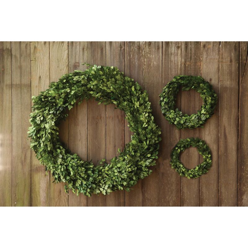 Storied Home Preserved Genuine Boxwood Wreath Green, 3 of 4