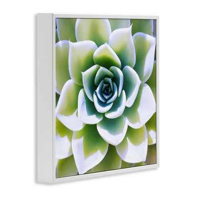 Green Succulent Close Up White Framed Canvas Print, 12" x 12"