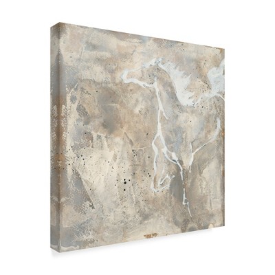 Trademark Fine Art -Chris Paschke 'White Horse Ii' Canvas Art