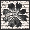 Amanti Art Inky Floral IV by Alonzo Saunders Framed Canvas Wall Art Print - 4 of 4