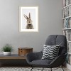 Amanti Art Peekaboo Bunny by Lola Peacock Wood Framed Wall Art Print - 4 of 4