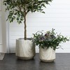 LuxenHome Set of 2 Concrete Round Tapered Planter Large Outdoor Indoor Plant Pot Modern Marble Finish Planter Garden Pot 14.5" & 11.5" Gray - 2 of 4