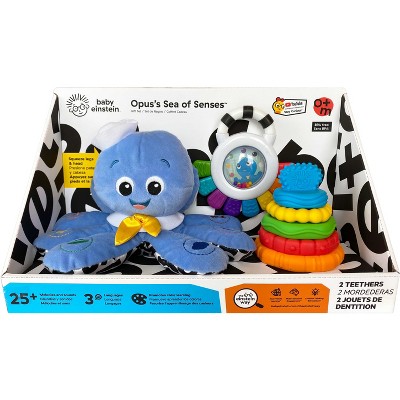 Baby einstein hot sale octopus name