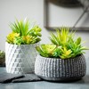Sullivans Artificial 6" Succulent Cement Premade - 3 of 4