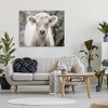 Stupell Industries White Cow Calf Portrait Canvas Wall Art - 2 of 4